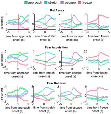 Freud’s 1926 conjecture is confirmed: evidence from the dorsal periaqueductal gray in mice that human psychological defense against internal instinctual threat evolved from animal motor defense against external predatory threat